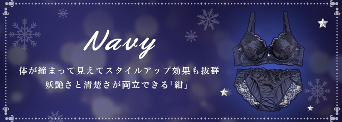 ネイビーランジェリー