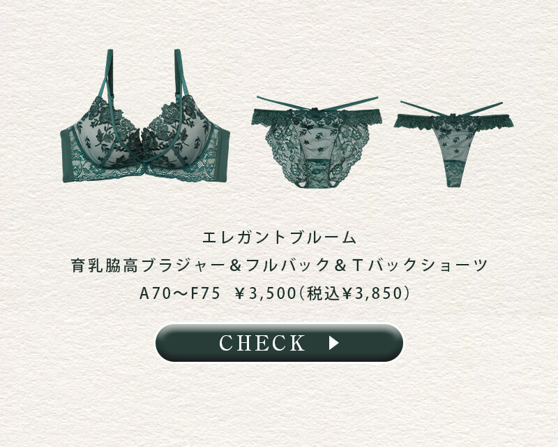 【Erikaプロデュース】【3点セット】W盛り★エレガントブルーム育乳脇高ブラジャー&フルバック&Tバックショーツ