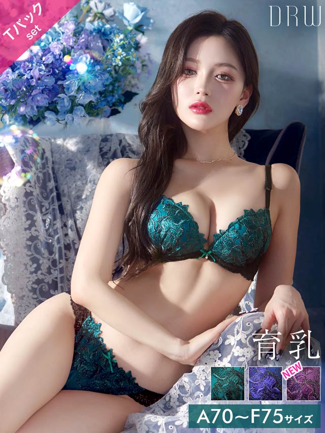 ビビットフルールエンブロイダリー育乳脇高ブラジャー&バック透けTバックショーツ