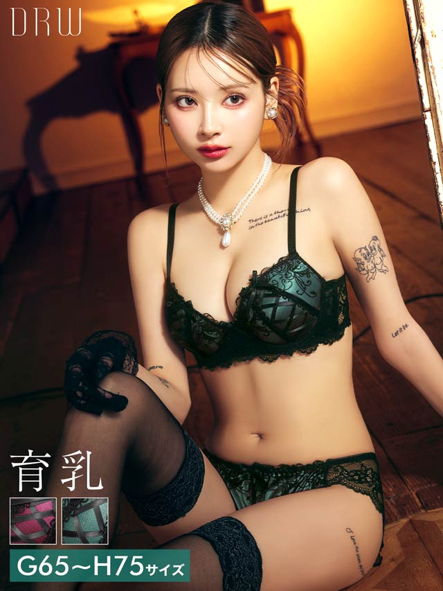 【GHサイズ】ゴシックスピンドルリボン育乳脇高ブラジャー&バック透けフルバックショーツ