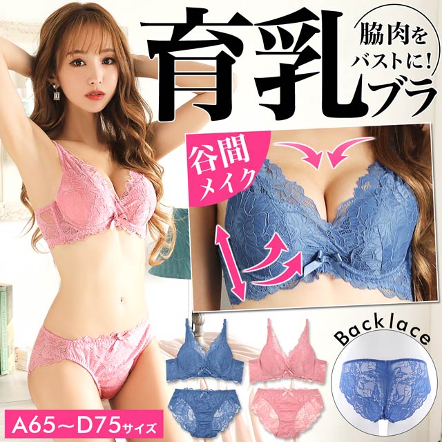 クラシカル総レース育乳脇高ブラジャー&バック透けフルバックショーツ[プチプラ]