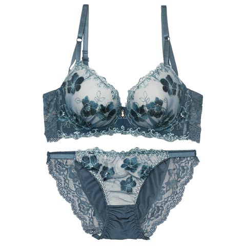 エレガンスシアーフルール育乳脇高ブラジャー&フルバックショーツ