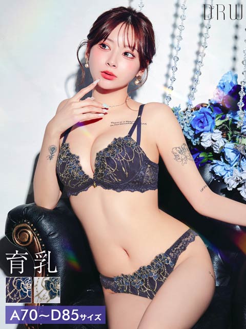 4/18再販!ロイヤルチェインローズ育乳脇高ブラジャー&フルバックショーツ［激売れ］
