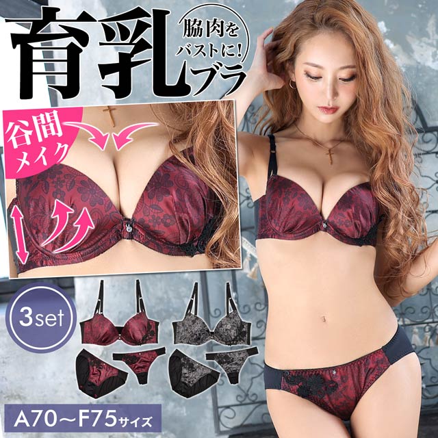 フェミニンフラワープリント育乳脇高ブラジャー&フルバック&Tバックショーツ