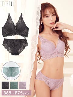 >エレガンスエンブロイダリー総レースブラジャー&バック透けフルバック